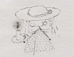 BREVE HISTORIA DE UN SOCAVÓN